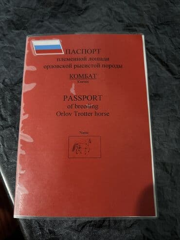 чистокровный английский: Сатам | Байтал, Жылкы (эркек) | Англиялык, Араб, Кара Жорго | Ат спорту — 3