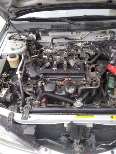 бу запчасти на ниссан примера р12: Nissan Primera: 2000 г., 1.8 л, Механика, Бензин, Хэтчбэк — 3