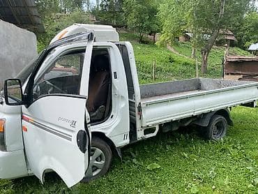 перья: Легкий грузовик, Hyundai, Дубль, До 1 т — 5