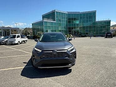 Toyota RAV4: 2023 г., Кроссовер