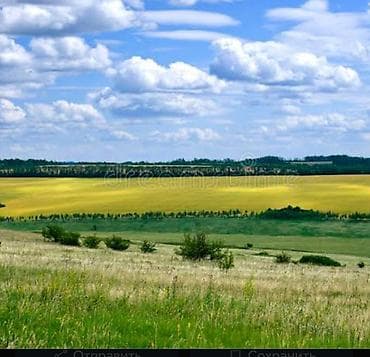 поле: 400 соток, Для сельского хозяйства — 1