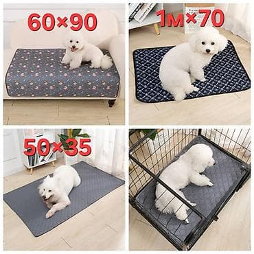 Башка жаныбарлар: ПРОДАЮ НОВЫЕ СОБАЧИЕ ЛОТКИ,А ТАК ЖЕ ШЛЕЙКИ,ПОВОДКИ/РУЛЕТКИ,АВТО — 7