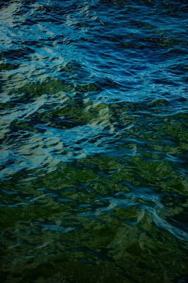 фотоаппарат instax в бишкеке: Nikon D3300 + два объектива, 18-55 и 18-105 мм. Домашнее — 8