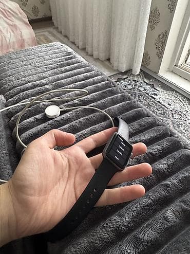 garmin forerunner 970: Apple Watch Series е2, 42 мм - Корпус: алюминий Space Gray - Задняя — 9