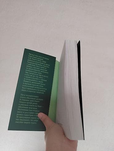 local guide program: Книга: Луиза Мэй Олкотт «Маленькие мужчины» - Издательство — 3