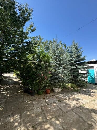 продам дом токмак: Үй, 245 кв. м, 10 бөлмө, Кыймылсыз мүлк агенттиги, Эски ремонт — 7