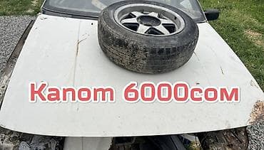 я ищу лобо: Volkswagen — 3