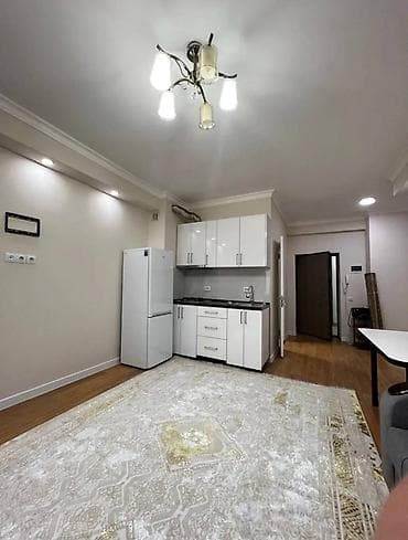 квартирв: Студия, Риэлтор, Без подселения, С мебелью полностью — 2