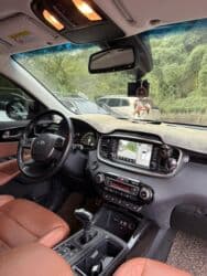 мошина: Kia Sorento: 2019 г., 2.2 л, Автомат, Дизель, Кроссовер — 5