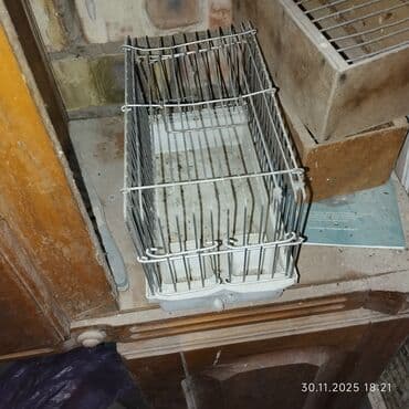 животные для дома: Продаю переноска для папугаев и мелких грызунов — 2