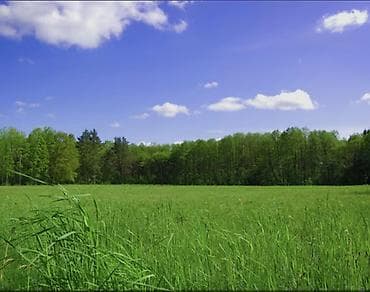 гос ипатека: 100 соток, Для сельского хозяйства, Договор купли-продажи — 3