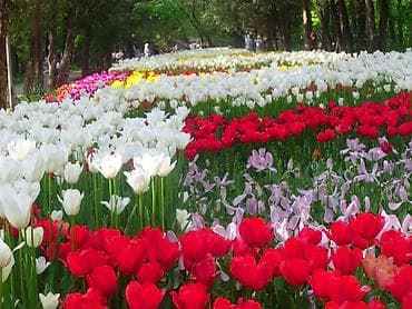 nikon d4: 2) Nikon Coolpix (серия компактных премиум, с «магниевым корпусом» и — 6