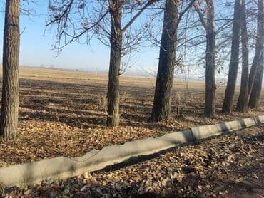 продажа земель сельскохозяйственного назначения: 1500 соток, Для сельского хозяйства, Договор долевого участия — 2