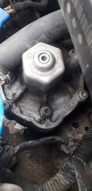 очень нужны: ГБО, Новый, Китай — 18