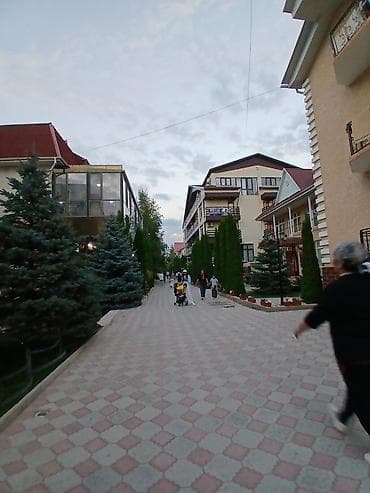 Уборка территории: Уборка территории, Чистка брусчатки — 1