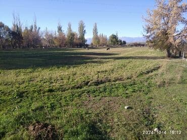 сдам частный дом без хозяина в бишкеке: Сатам Кой короо, 50 соток, Иштеп жаткан, Жарым-жартылай жабдуулары менен — 5
