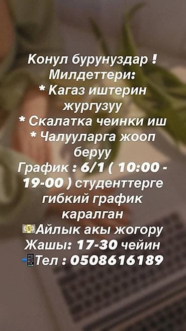 отделка жумуш: Жардамчы — 2