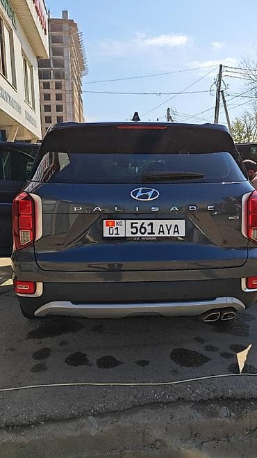 neta u pro: Hyundai Palisade: 2020 г., 2.2 л, Автомат, Дизель, Кроссовер — 6