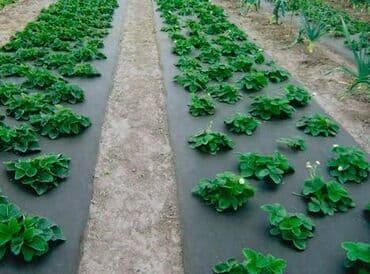 купить пленку для силосных ям: Тип пленки, Новый — 5