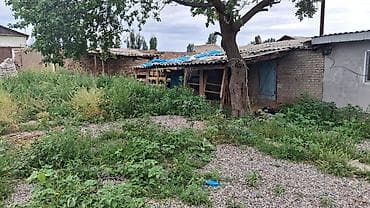 кок жар ж м: Продается дом 3ком огород 10сот пар отопление кухня душ туалет имеется — 4