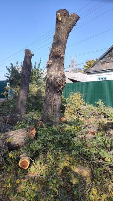 сапоги зимние женские натуральная кожа натуральный мех распродажа: Бак кыябыз бардык турлорун абреска кылабыз отун кылып даярдайбыз? — 1