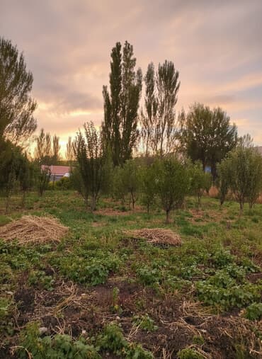 дом рабочем городке: Дом, 68 м², 4 комнаты, Собственник, Старый ремонт — 3
