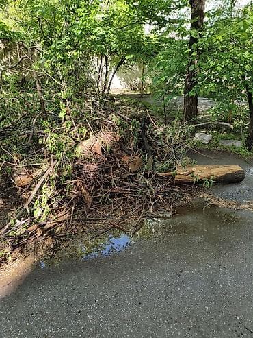 мешок дров: Дрова — 1