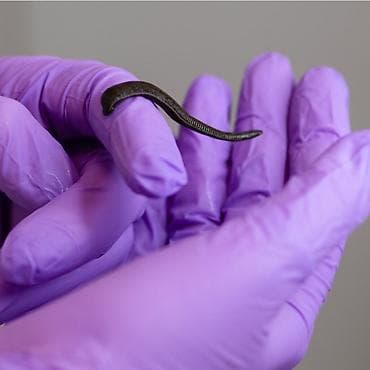 био гумыс: Продаю лицензионные с сертификатами медицинские аптечные и — 8