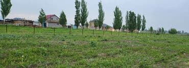 срочно продаю в связи с переездом: 200 соток, Для сельского хозяйства, Тех паспорт, Красная книга — 5