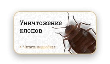 Клининговые услуги: Дезинфекция, дезинсекция, | Клопы, Обработка деревьев, Блохи, | Квартиры, Дворы, Дома — 1