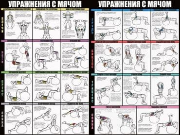 подушка балансир: Гимнастический мяч, фитбол высокой плотности Гимнастический мяч для — 2