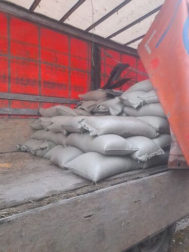 местный кукуруза: 22.сом с погрузкой Кукуруза Жугору Мака ОПТОМ РОЗНИЦА ДРУГАЯ ЦЕНА — 4