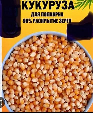 popcorn books: Кукуруза для попкорна - Специальный сорт для воздушного и хрустящего — 1