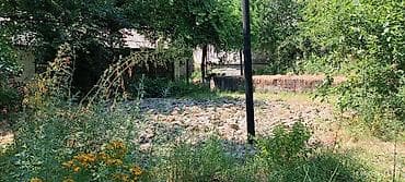 green land: 12 соток, Красная книга — 10