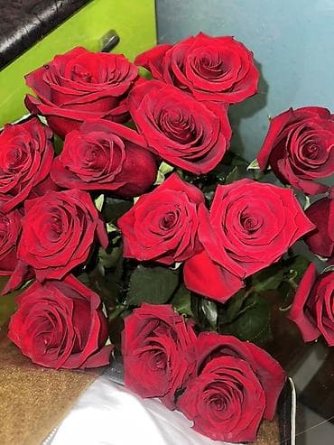 Букет из красных роз - Состав: крупные бархатистые красные розы — 4