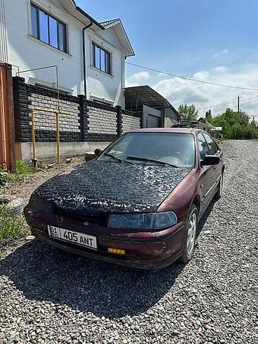 хонда акорт фара: Honda Accord: 1995 г., Седан — 8