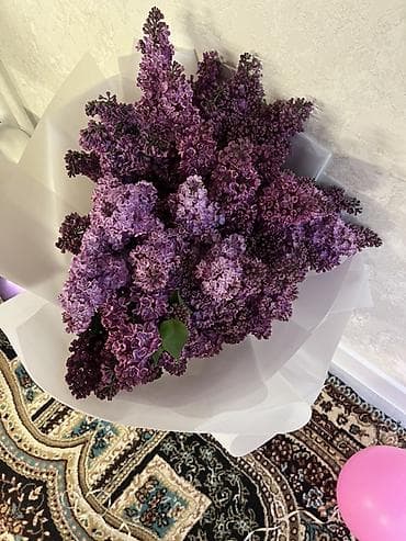 букет сирень: Сиреневый букет из свежесрезанной махровой сирени. - Объёмный — 3