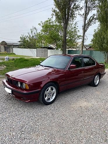 BMW 5 series: 1991 г., 2.5 л, Механика, Бензин, Седан