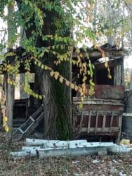 семена грецкого ореха: Дрова Карагач, Самовывоз — 7