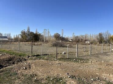 земельный участок токмок: 25 соток, Для строительства, Красная книга, Договор купли-продажи — 4