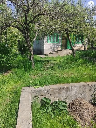 псо джал: Продаю дачу. В хорошем месте. На огороде есть яблони, малины — 2