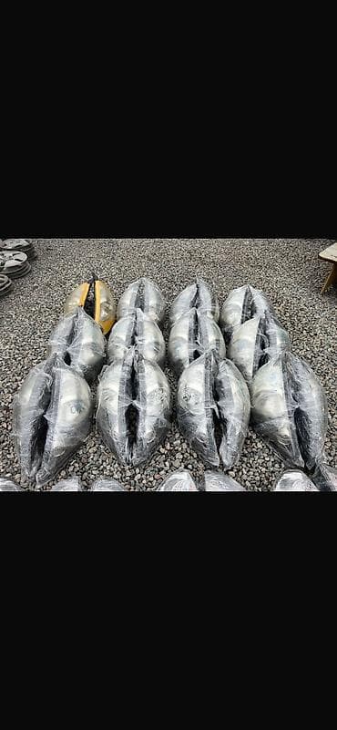 шапка шлем: Комплект передних фар Honda 2003 г., Б/у, Оригинал, Япония — 1