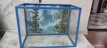 сколько стоит аквариум: Аквариумы — 1