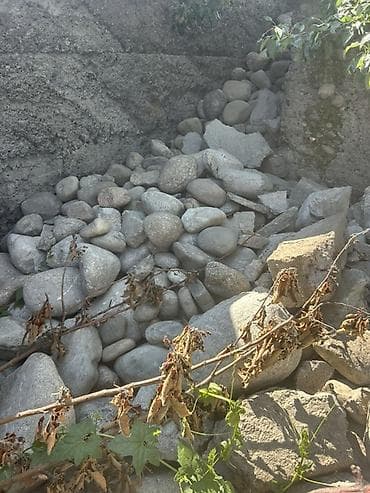 семечка уголь: Таш сатылат 1 камаз чыгат жуктоп алып кетсенер болот под фундамент — 1