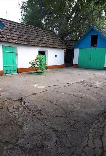 дом ананева: Продаю дом Джаильский район с.Сосновка по трассе Бишкек Ош участок 30 — 4