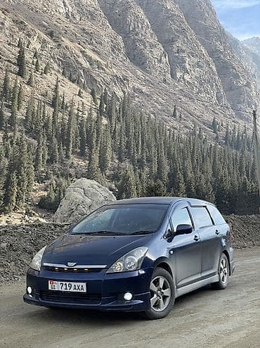 audi a4 b6: Toyota WISH: 2003 г., 1.8 л, Автомат, Бензин, Минивэн — 3