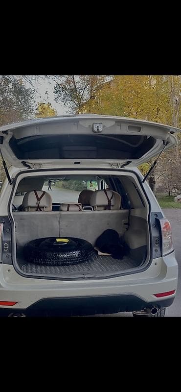 дорого: Subaru Forester: 2009 г., 2.5 л, Газ, Кроссовер — 4
