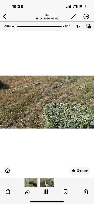 симина кукурузы: Сено в тюках - Тип: луговое сено, прессованные прямоугольные тюки. - — 8