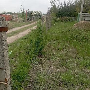 места каракол: Продаётся участок с фундаментом красная книга пять соток 2 комната — 4