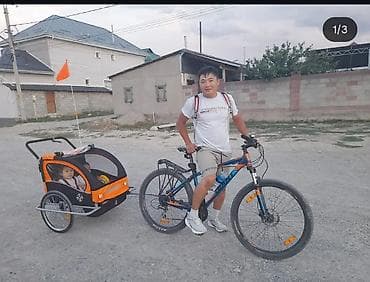 детские велосипеды коляска: Детский велоприцеп-коляска для 1–2 детей BIWEC - Универсальный прицеп — 3